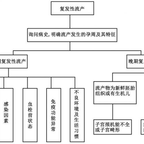 【指南速览】复发性流产诊治的专家共识