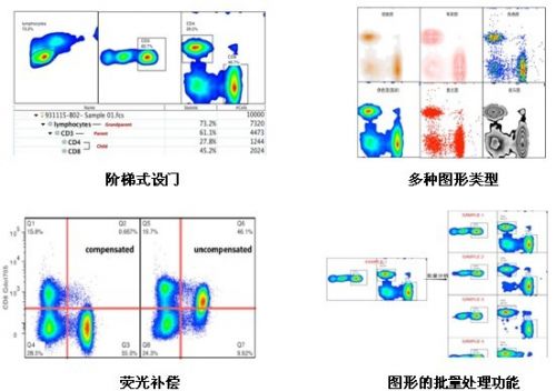 《多参数流式细胞术检测急性白血病及浆细胞肿瘤微小残留病中国专家共识