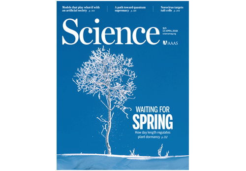 2018年4月13日Science期刊精华