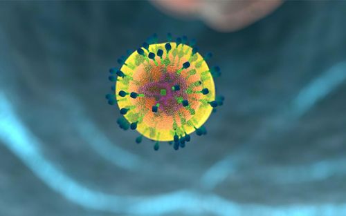 Science颠覆认知：免疫系统中的“坏抗体”有大用途