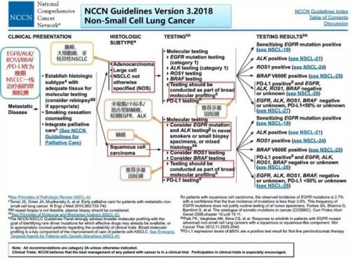 最新肺癌分子检测指南、共识、研究进展