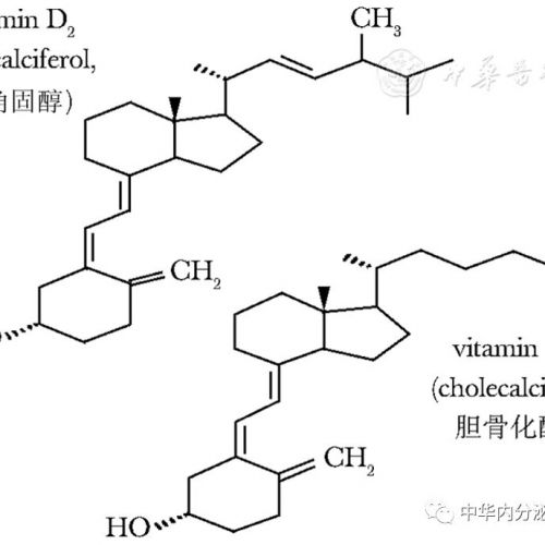 【指南与共识】维生素D及其类似物的临床应用共识