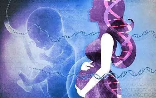 改进无创产前检测(NIPT)   怀孕8周即可检测胎儿性别