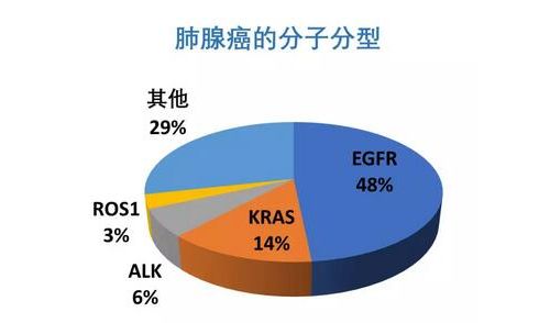 IVD企业2018一季度频预增，差异化竞争格局突显