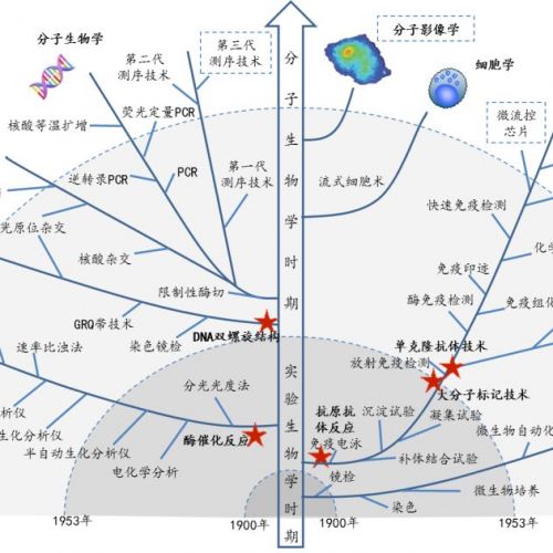 体外诊断专题（二）技术脉络和进展