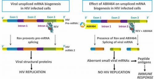 2020年治愈HIV？细数4类最具潜力的HIV疗法
