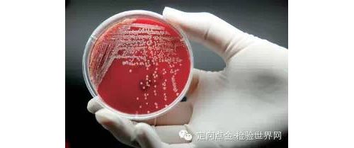脓毒症与感染性休克第三版国际共识定义（2）