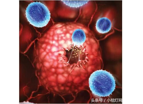 盘点2018上半年度那些国内首发的产品（生化免疫篇）