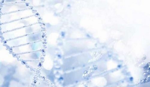 聚焦生物标志物 助力癌症全方位诊疗！