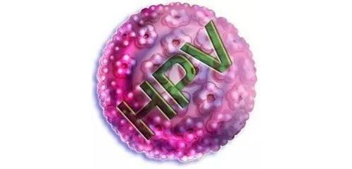 Gilead TCR疗法有望治疗HPV阳性实体瘤