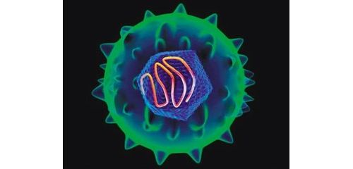 生命科学公司实现主动风险管理的5个误区，应如何避免？