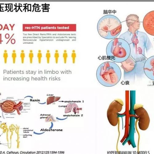 检验科新项目——高血压五项