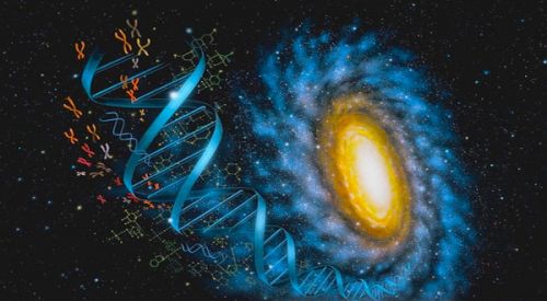 人类的基因到底有多少个？近20年学界“大争议”带来最新结论| Nature