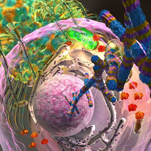 Cell：如何让免疫疗法更有效？基因检测了解一下！