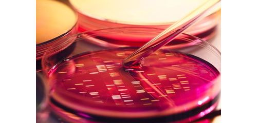白癜风、银屑病……七种自身免疫疾病新药研发现状一览--自免疾病