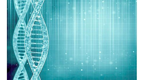 基因检测设备公司瀚辰光翼获数千万元投资，发力自动化分子诊断