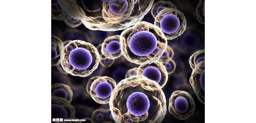 CCLM：在脓毒症患者中评估新预后评分系统的一项回顾性队列研究