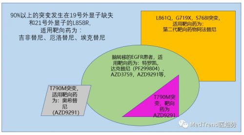 中国基因测序里程碑事件！连续2家基于NGS的伴随诊断15天内获CFDA批准