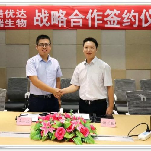 安诺优达与可瑞生物达成战略合作，全面提供基因功能研究整体解决方案