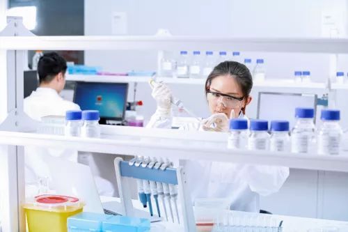 迈克生物：多变环境中的不变之道