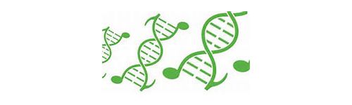 个性化给药！基因芯片了解一下