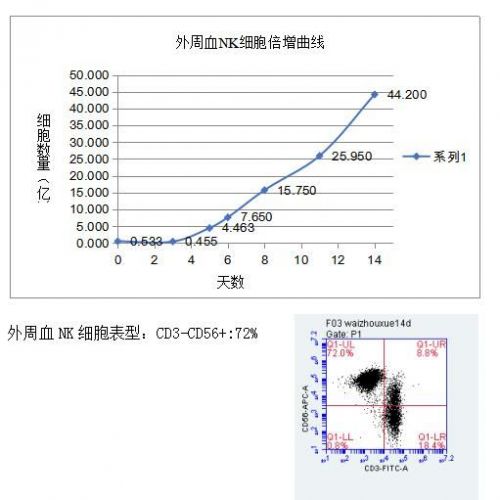 NK细胞，您培养的好吗