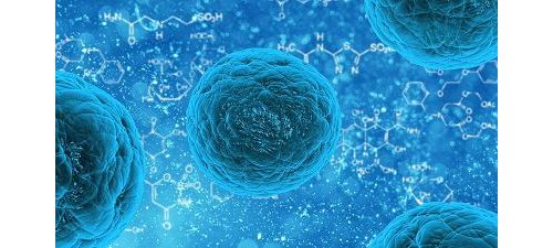 App and Env Microbio:益生菌会加重特定微生物感染？