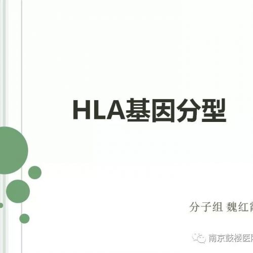 HLA基因分型