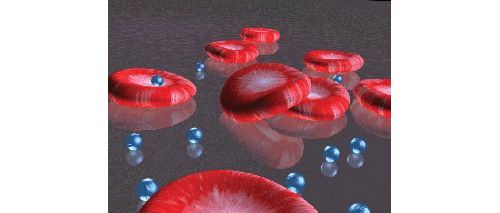 血检可测人体生物钟 可预防多种致命疾病