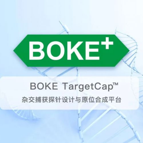 打破国外垄断！伯科生物推出自主知识产权的生物液相芯片杂交捕获与探针原位合成技术