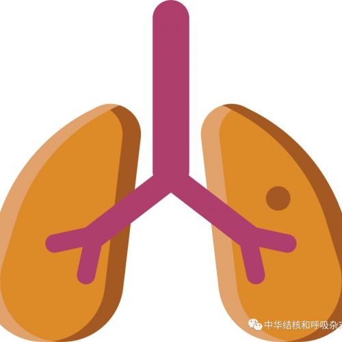 结核病病原学分子诊断专家共识