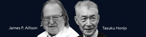 Nature：白血病免疫疗法有望问世 科学家发现新型免疫抑制通路