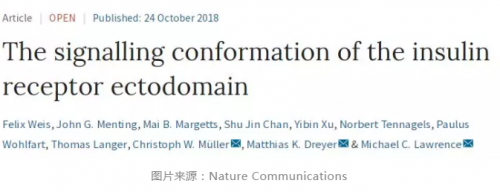 首揭！胰岛素如何降血糖？科学家们终于“弄清了”！