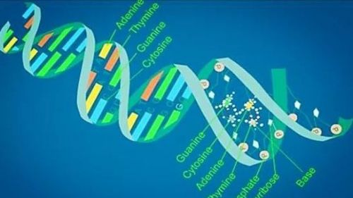 检验科常规实时荧光PCR检测项目临床意义汇总！（重点推荐）