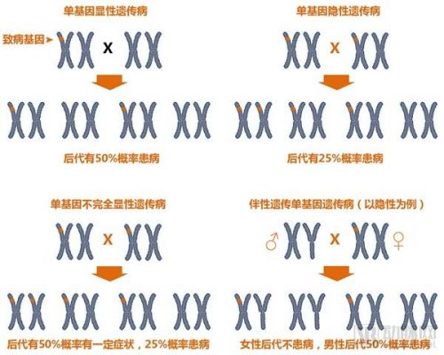 单基因遗传病基因检测报告：下一个百亿级市场启航