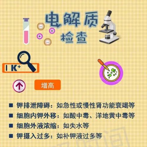 一图读懂：电解质检测意义与价值