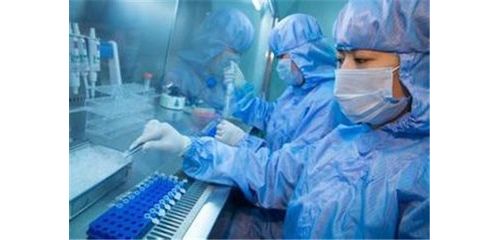 我国科学家揭示人IgG1的一种常见变体增强自身免疫反应
