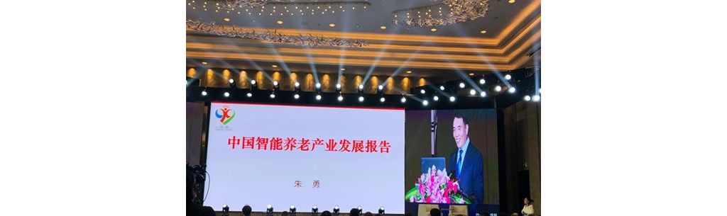 《中国智能养老产业发展报告（2018）》蓝皮书：智能养老标准化存在四大问题 ，2020年 ...