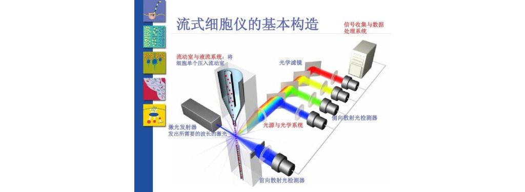 临床级流式细胞检测市场分析