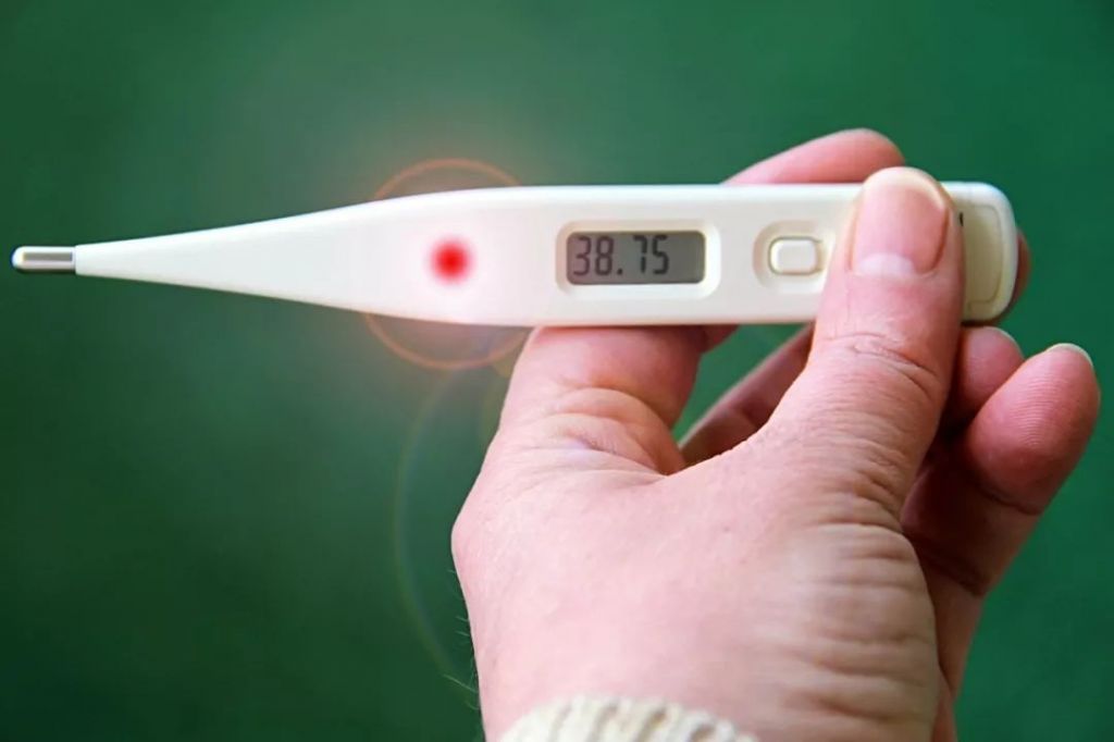 利用二代测序技术在不明原因发热的血液样本中检测到人细环病毒