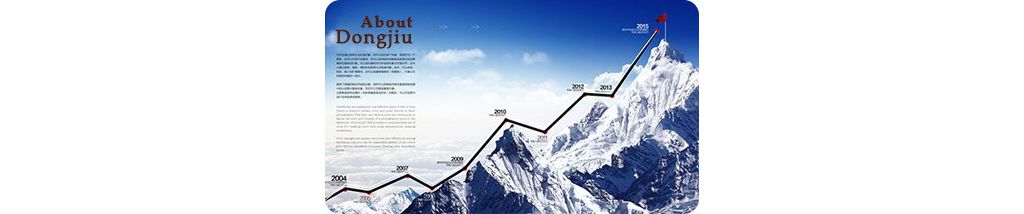 徐州东九电子科技有限公司