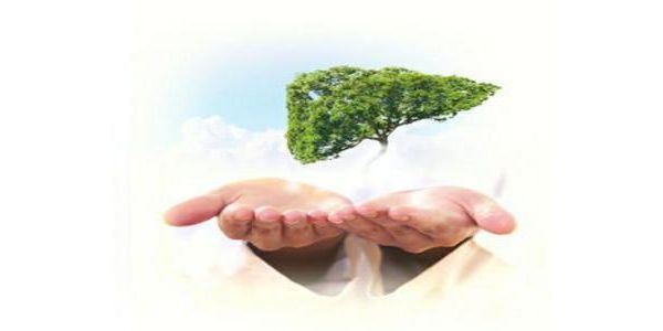 北京热景生物技术股份有限公司