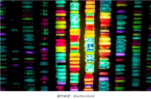 DNA测序技术可有效预防感染的爆发