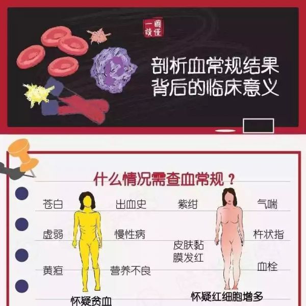 一图看懂丨剖析血常规结果背后的临床意义