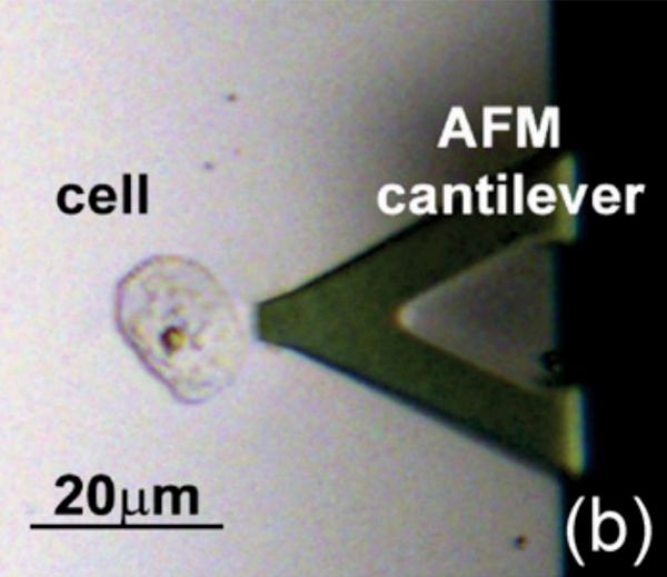 PNAS：新型液体活检技术面世！