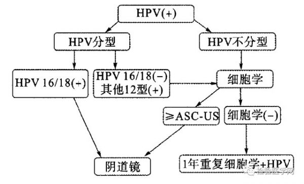 宫颈癌筛查共识及HPV数据