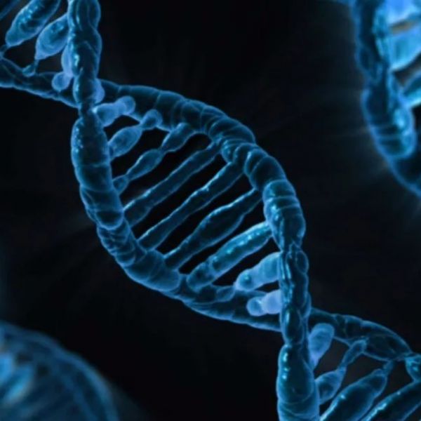 临床分子诊断质量管理问题及思考