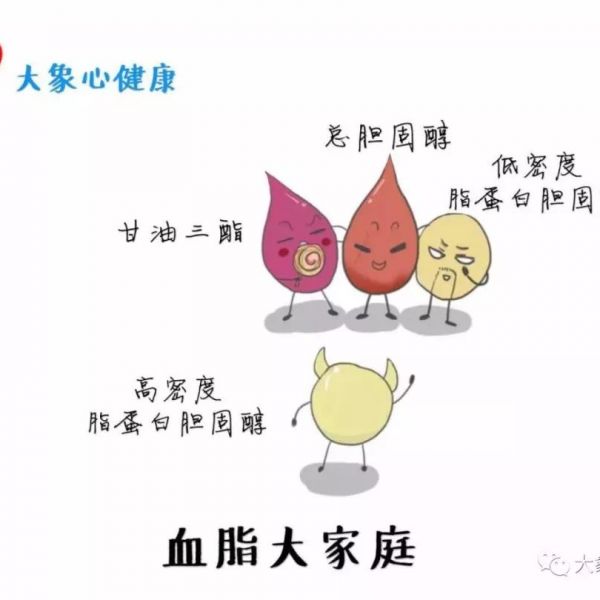 血脂四项怎么看？这篇文章讲明白了