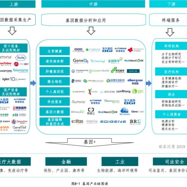 粤港澳大湾区发展规划纲要公布！基因检测作为战略产业