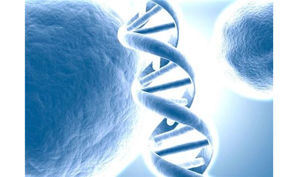 关于人类Brca1/2基因突变检测试剂注册审评概述